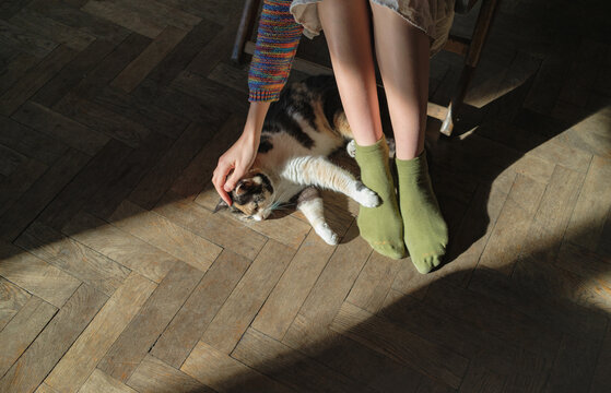woman's legs in green socks with a cat lying next to them