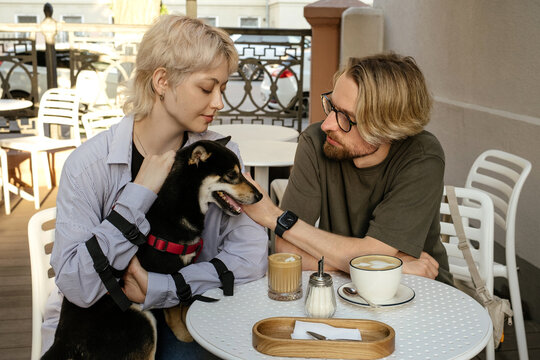 Joyful Couple and Their Shiba Inu Sharing a Playful Moment at a Caf&eacute;