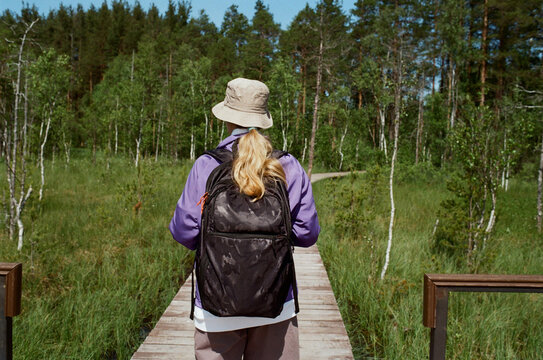 Hiking in a serene forest area with wooden paths