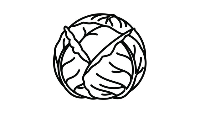 Simple black and white line art illustration of a whole round head of cabbage with textured leaves on a plain white background for food icons.