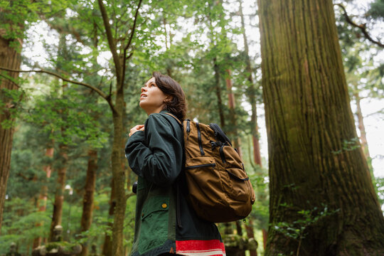 A woman walks through a relict forest
