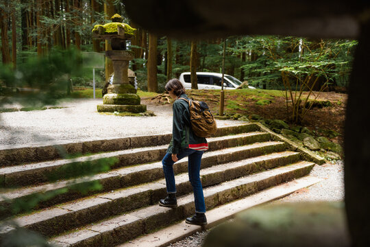 A woman walks through a relict forest