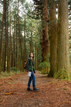 A woman walks through a relict forest