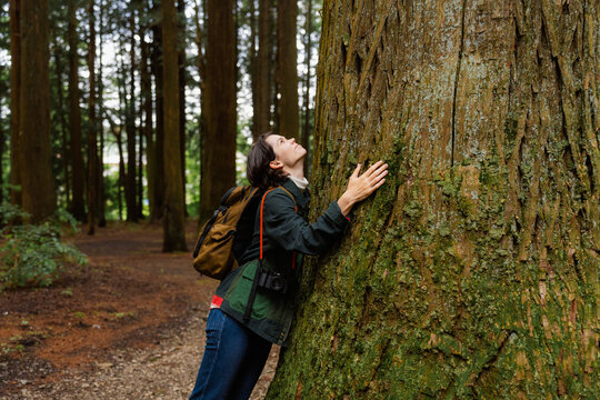 A woman walks through a relict forest