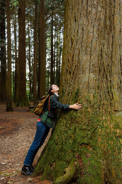 A woman walks through a relict forest