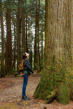 A woman walks through a relict forest