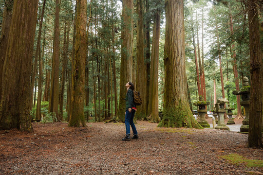 A woman walks through a relict forest