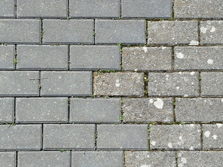 Obraz premium Suelo de adoquines rectangulares de color gris con manchas de humedad y musgo entre las juntas