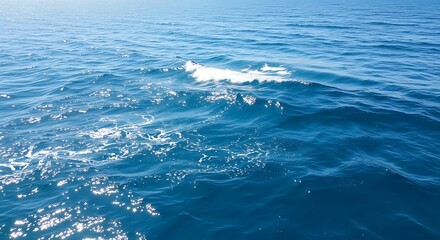 Fototapeta premium Serene Ocean Waves with Gentle Ripples.