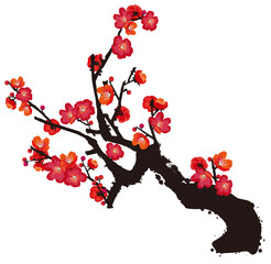 Obraz premium Red Plum Blossom Branch with Leaves Isolated