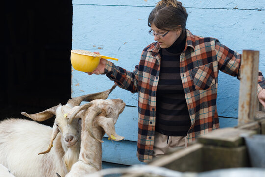 Woman farner brings feed for goats