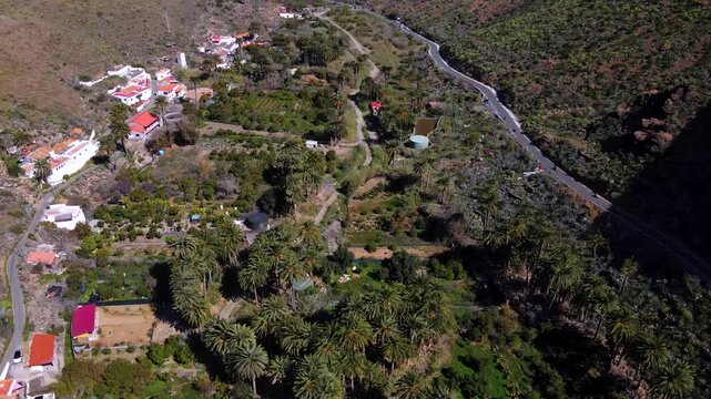 Winding mountain road passing through the scenic Fataga palm valley