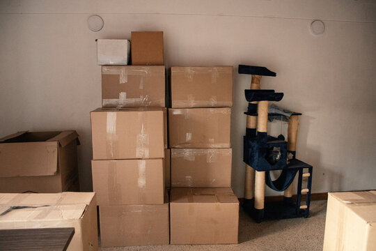 Stacked cardboard boxes beside a cat tree in a bright room