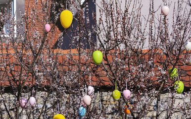 A view of blooming spring branches and Easter decorations outdoors