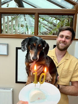 Dog Celebrates 10th Birthday With Cake and Candles