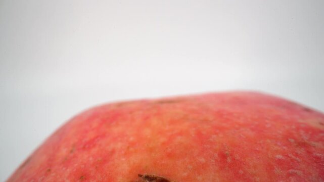Close up of peach nectarine on white background isolated