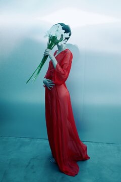 Fashion Portrait of Woman in Red Dress