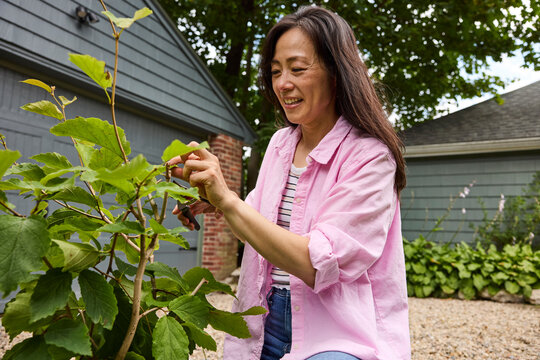 Middle aged asian woman gardening