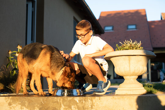 Young Boy feeding his Dog