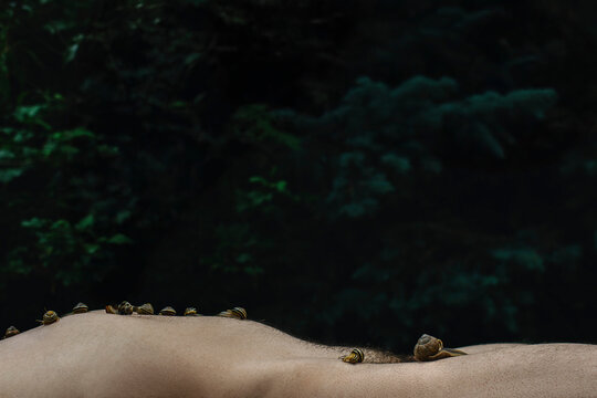 Snails Climbing on a Person's Side in a Tranquil Setting