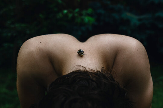 Close Encounter With Nature on a Person's Back in Lush Surroundings