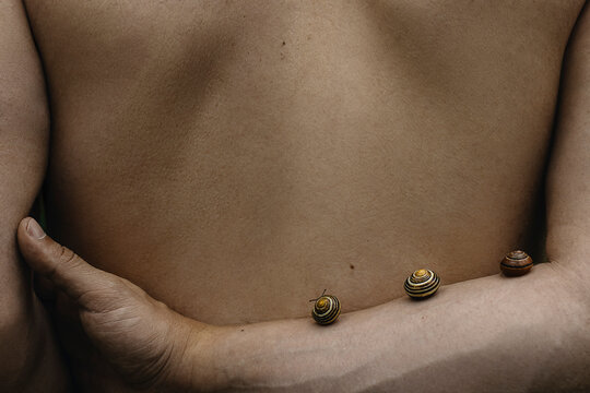 Human Back Adorned With Snails on the hand