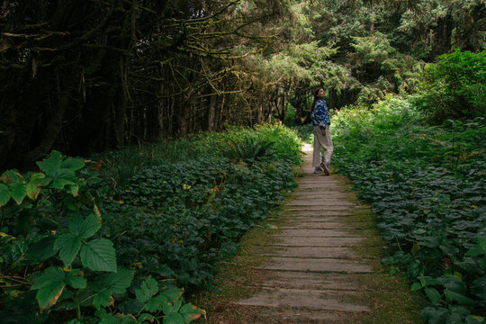 Young female enjoying beautiful rainforest of the Pacific Rim 
