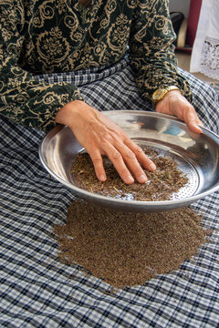 woman sifting dried fenugreek leaves with a metal sieve