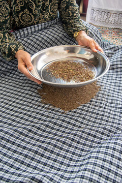 woman sifting dried fenugreek leaves with a metal sieve