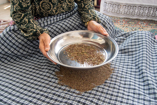 woman sifting dried fenugreek leaves with a metal sieve