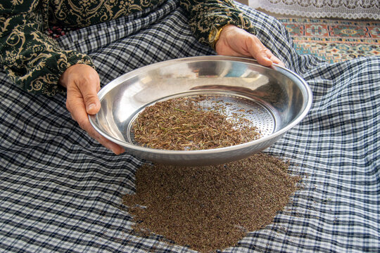 woman sifting dried fenugreek leaves with a metal sieve