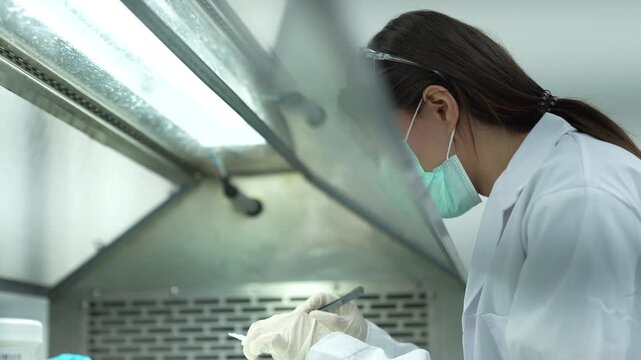 Biotechnology specialist conducting microbiological pathogen isolation inside a Class II biosafety cabinet. Scientific expert utilizing PPE for hazardous sample handling.