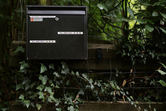 German mailbox and doorbell on wooden fence overgrown with ivy