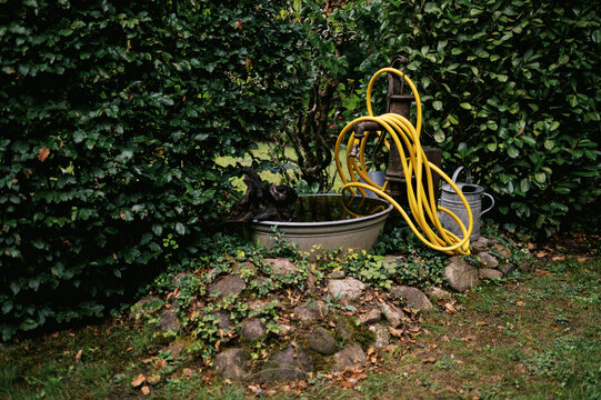 detail of beech hedge with a well pump, yellow hose and water tub