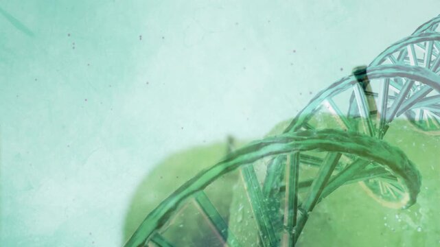 Entering left, teal double helix descending to green apples, aligning and showing molecular overlay