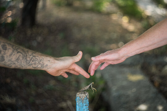 Hands of two people and a praying mantis