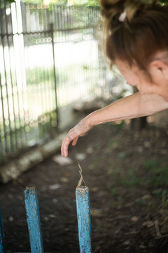 Delicate human touch meets praying mantis