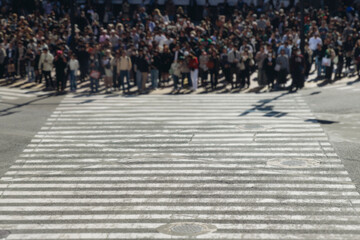 Shibuya Scramble Crossing, Tokyo, crowd of pedestrians and tourists walking on pedestrian crossing intersection during rush hour, Shibuya Station, Tokyo, Japan, passer-by walk in a sunny day