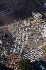 Fototapeta premium Shibuya Scramble Crossing, Tokyo, crowd of pedestrians and tourists walking on pedestrian crossing intersection during rush hour, Shibuya Station, Tokyo, Japan, passer-by walk in a sunny day