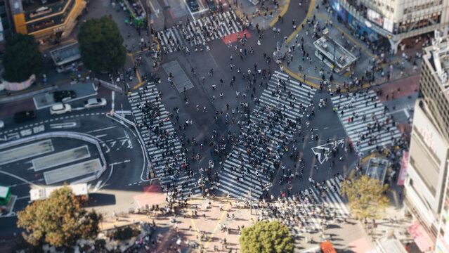 Shibuya Scramble Crossing, Tokyo, crowd of pedestrians and tourists walking on pedestrian crossing intersection during rush hour, Shibuya Station, Tokyo, Japan, passer-by walk in a sunny day