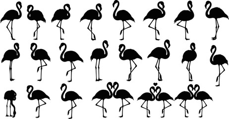 Flamingo silhouettes set, tropical bird standing poses vector illustration, isolated black flamingo shapes collection for wildlife, nature, summer design projects