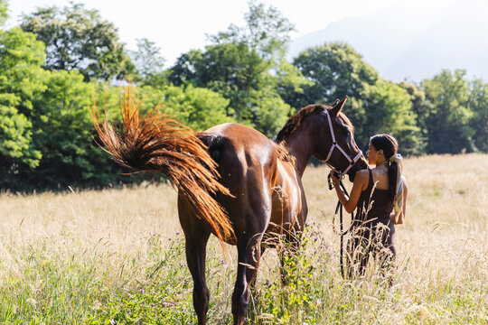 Woman Standing with Horse in Sunny Meadow