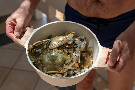 Man Holds a Pot Filled With Freshly Caught Blue Crabs 