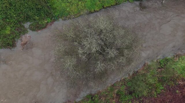 High water level with tree in the middle of the river in a flooding event. Natural disaster.
