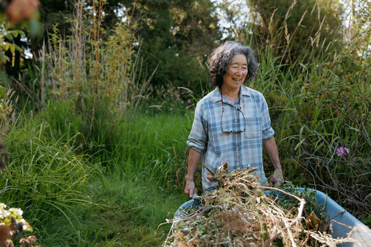 Smiling gardener working outdoors with a wheelbarrow in a lush area