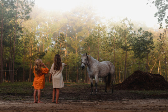 Kids observing horse in forest
