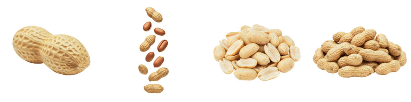 Raw Peanuts Set Isolated on White Background Collection of Whole Peanuts in Shell Falling Peanut Kernels and Piles of Roasted Peanuts for Food Design Elements