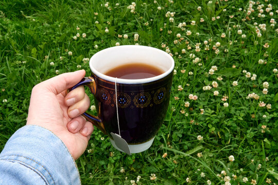 Holding a Warm Cup of Tea in a Green Field of Clover