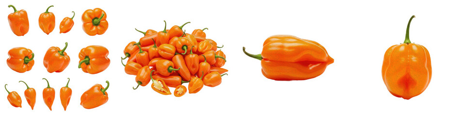 Fresh Orange Habanero Chili Pepper Set Isolated on White Background Including Single Peppers Large...