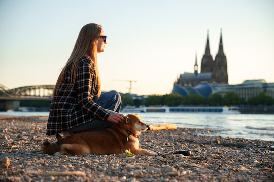 Enjoying Evening With a Dog by River